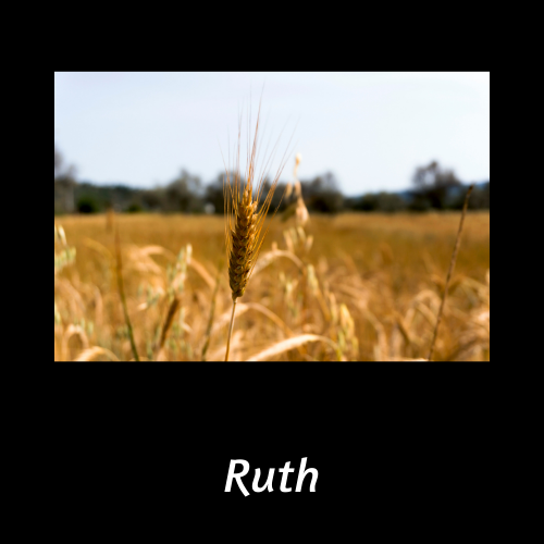 Faith and Hunger: Ruth