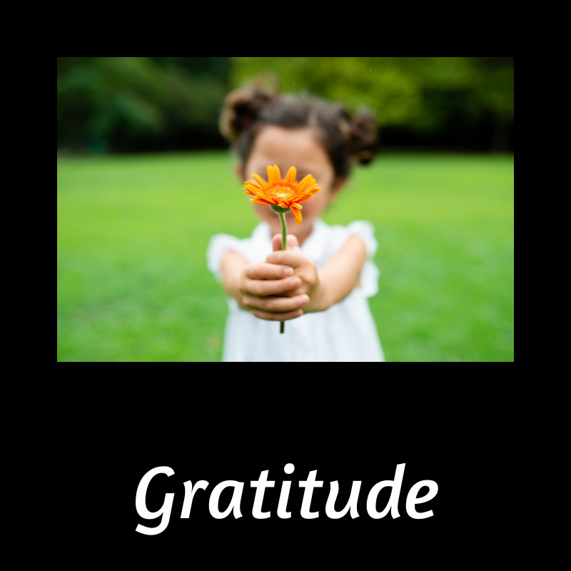 Thanksgiving Gratitude Playlist