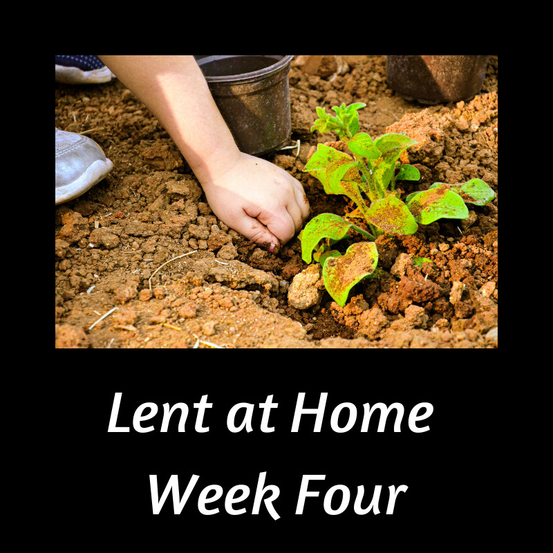 Lent Playlist Week Four
